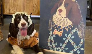 南京艾贝尔宠物医院